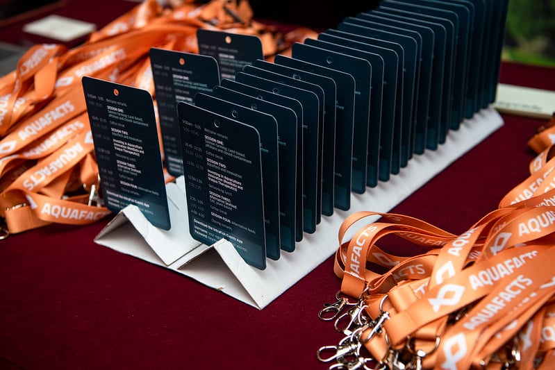 52108231407_461db5b686_c